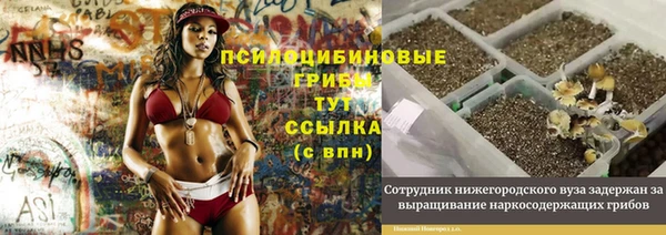 кокс Арсеньев