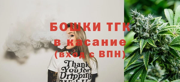 Альфа ПВП Аркадак