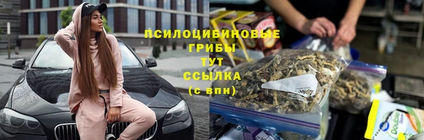Альфа ПВП Аркадак