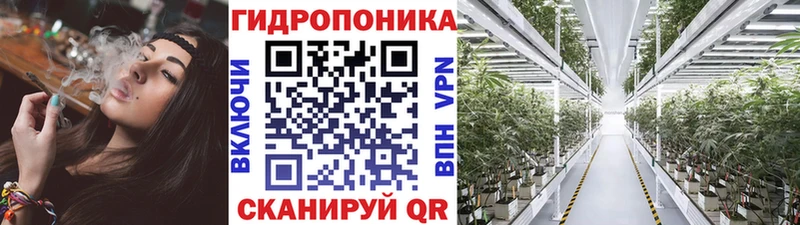 Канабис SATIVA & INDICA  Сокол 
